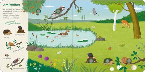 Such mal, hör mal! Bei den Tieren: Mit 25 Geräuschen | Soundbuch mit Tieren zum Suchen im Wimmelbild mit dazugehörigen Sounds für Kinder ab 18 Monaten