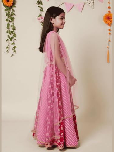 Image of Nautinati Girls Lehenga Choli Set