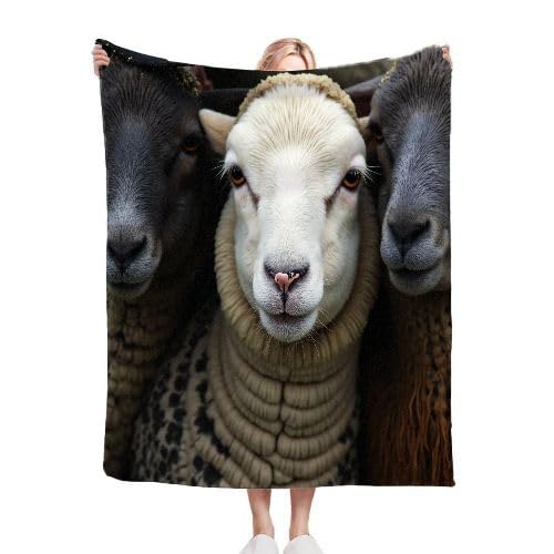 Dozrmey Mantas para Sofas Grandes 220x240 Oveja Vestida, Mantas para Cama 150 de Franela para Adultos y Adolescentes, Mantas Polar para Sofá Grande Fácil de cuidar