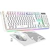 Empire Gaming - Armor RF800 Pack Clavier Souris Gaming sans Fil AZERTY (Français-Layout) RGB avec Tapis de Souris -Clavier 2.4G -Souris 4800 DPI -PC PS4 PS5 Xbox One/Series Mac - Blanc