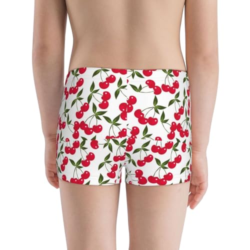 Boys' Cotton Boxer Brief Soft Underwear-Cherry3