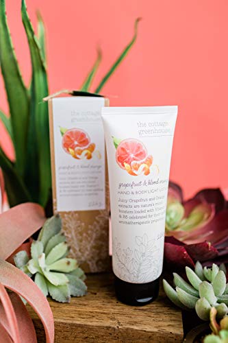 The Cottage Greenhouse Grapefruit & Blood Orange Body Lotion | Lightweight, Moisturizer | Paraben Free, Vegan, Never Animal Tested | Includes Shea Butter | 8 Oz / 226 G #TOP2