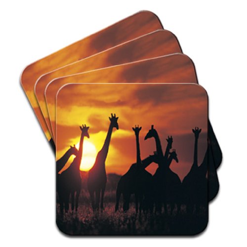 Fancy A Snuggle Giraffe Sunset Set Of 4 Coasters