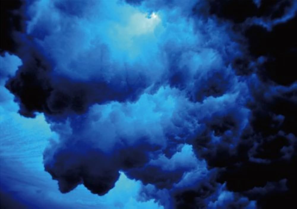 杏橋幹彦　写真集　BLUE FOREST　希少DVDセット BLUE FOREST | 杏橋 幹彦, MIKIHIKO KYOBASHI |本 | 通販 | Amazon