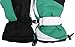 Women Waterproof Winter Ski Gloves, BlackWhiteGreen, M