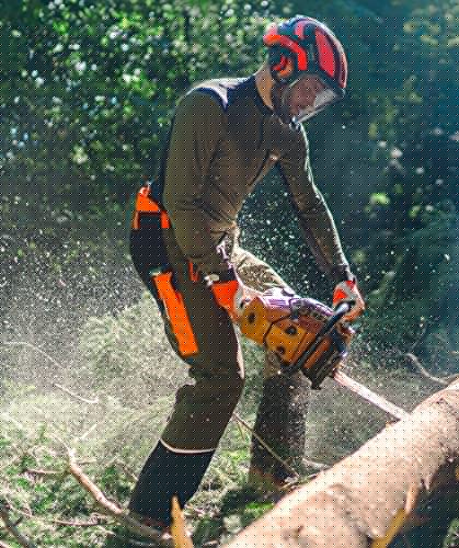 Foto von KOX Schnittschutzhose Mistral 3.0 Grün/Orange Gr. 48