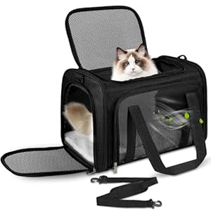 Lohofrnny Sac de Transport Chat, Sac Transport Chat Chien avec Matelas Souple, Sac Transport Chien Respirant et Pliable, Caisse de Transport Chat Respirant pour Petit Chien,Chat (Noir, 50x34x34cm)