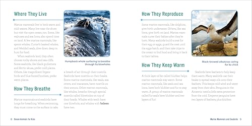 Callisto Kids Hestermann, Bethanie Ocean Animals For Kids: A Junior Scientist'S Guide To Whales thumb #2