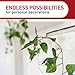 Command Indoor Mini Light Clips, Damage Free Hanging Christmas Light Clips, Mini Wall Clips for Hanging Indoor Christmas Decorations, Lights and Cables, 45 Clear Clips and 54 Command Strips