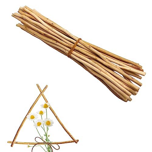 ZAHD 25 piezas Palos Artesanales Naturales，Varillas Madera Natural Palitos Palo De Madera Natural Varillas Manualidades DIY Proyectos Artesanías Modelo Naturales Delgadas Palos de Madera Delgadas