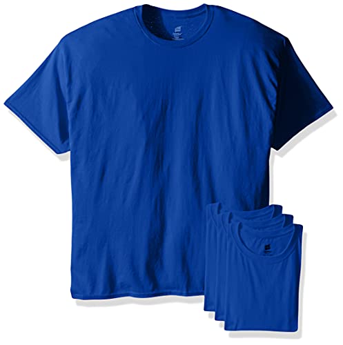 Image of Hanes Men's Ecosmart T-Shirt (Pack of 4)