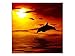 Produktbild kunst-discounter Delphin Sonne Wandbild A06143 Canvas Leinwandbild quadratisch auf Keilrahmen Größe 80 x 80 cm