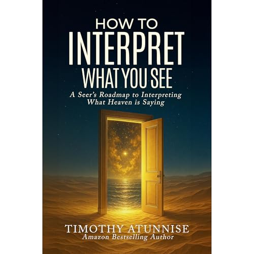 How to Interpret What You See Audiolibro Por Timothy Atunnise arte de portada