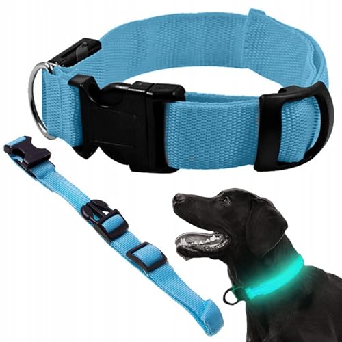 PARENCE - Collar LED Ajustable para Perros 36-59 cm - 3 Modos de luz, Seguridad Nocturna, Collar de luz para Perros y Gatos, Visible Desde 500 m, Impermeable, con Pilas CR2016 - Azul
