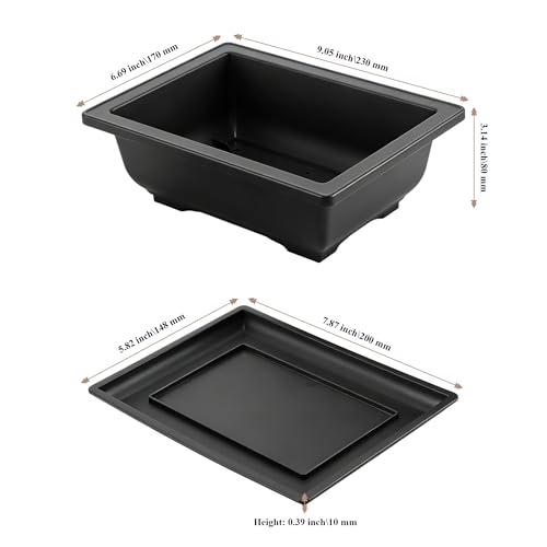 Pots pour bonsaï et succulentes parfaits pour verdir un balcon urbain - 3