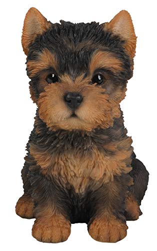 Vivid Arts Pet Pals Décoration Yorkshire Terrier Negro/Marrón