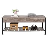 Shoe Bench Rack Entryway Shoe Bench Storage Organizer Shelf Lift Top Metal Frame Bed End Stool by Am