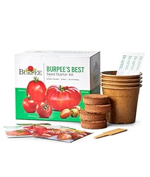 Tomato Plant Starter Kit Secrets: What You Need to Grow Thriving Plants 3 tomato plant starter kit