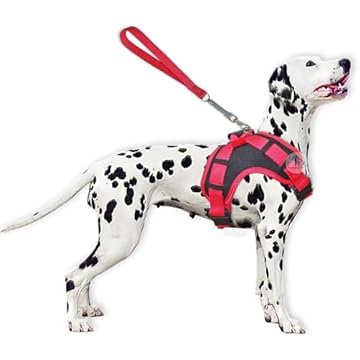 Peitoral Stillo Coleira para Cachorros Grandes Guia Ajustável Vermelho (G)