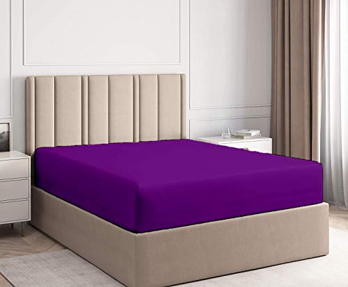 Alberta King Egyptian Cotton 1000TC Fitted Sheet