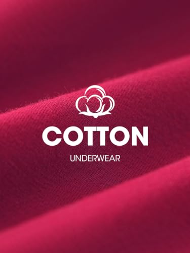 Image of Seamless Cotton Underwear for Women No Show Bikini Panties 6 Pack