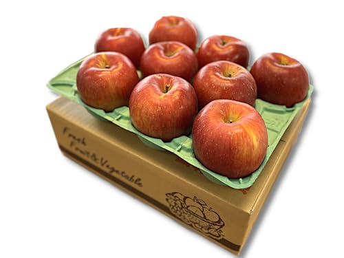 yTAKAOKAFRUITz쌧Y񂲁u̍v Gi 3Kg