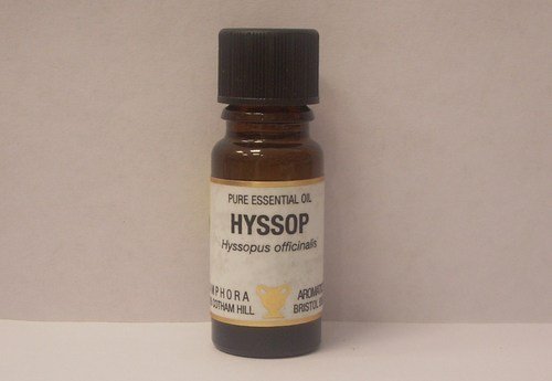 Amphora Aromatics Hyssop Essential Oil 10ml