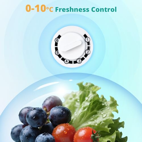 SMETA Petit Frigo 46L, Mini Frigo Silencieux 220V, Mini Réfrigérateur avec Thermostat Réglable, Porte Réversible, pour Chambre, Bureau, Blanc - 9