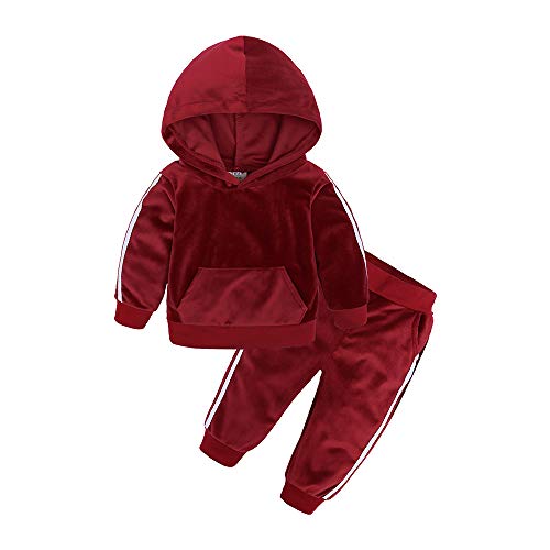Kids Tales Boys Girls 2Pcs Velvet Hooded Tracksuit Toddler Kids Fleece Hoody Top + Sweatpants Sweatsuit Outfits Set