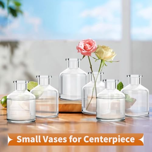 6 vases à bourgeons en verre transparent soliflore design pour table