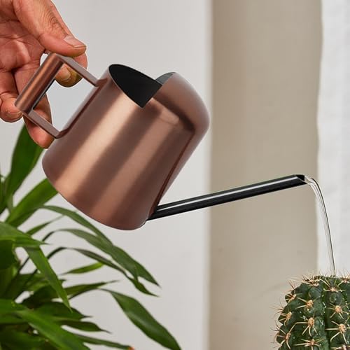 VEGOATY Mini Gießkanne: 1 Praktische Edelstahl Gießkanne,...