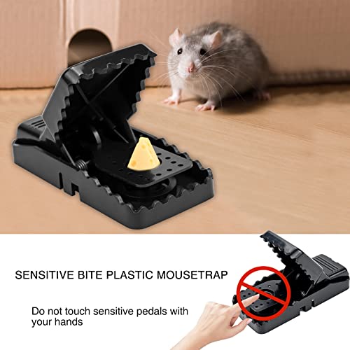 Mausefalle Schlagfalle 8er-Set für effektive Nagetierkontrolle