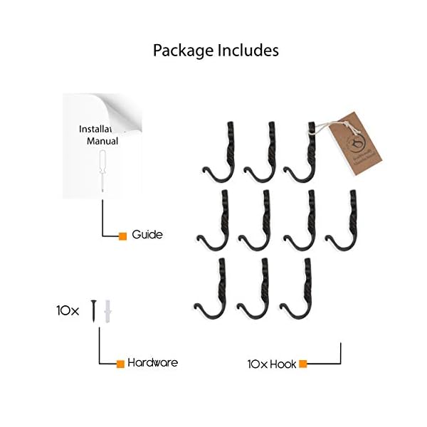 Rustic state astor wall mount cast iron hooks coat towel bag hat hanger multiuse entryway railroad spike rack black set of 10  urban country home decor
