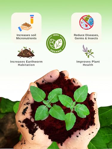 Image of Bombay Greens Tulsi Plant Booster Organic Food | Growth Enhancer for Holy Basil Plants | Improves Leaf Growth & Aroma | Natural Plant Food for Indoor & Outdoor Plants