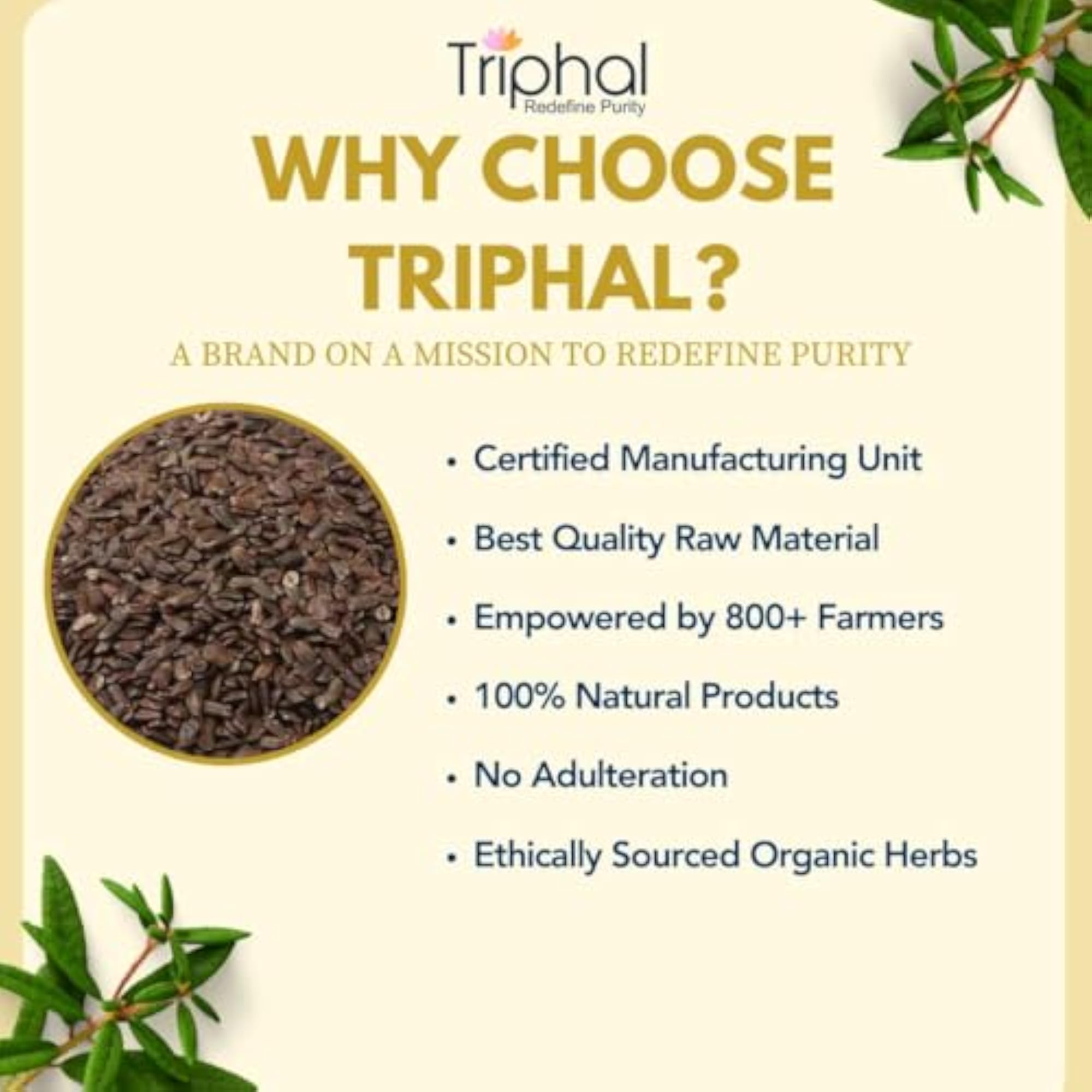 TRIPHAL Talmakhana Powder - 200g Organic