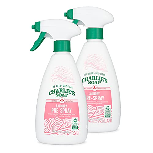 Top 10 Best Non Toxic Stain Remover Reviews & Buying Guide Katynel