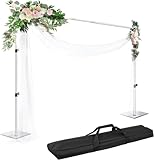 EMART Soporte de Fondos con Base 2 x 3m, Sistema de Telón Fotográfico Ajustable para Fotografía, Estudio de Vídeo, Decoración de Fiestas - Plata