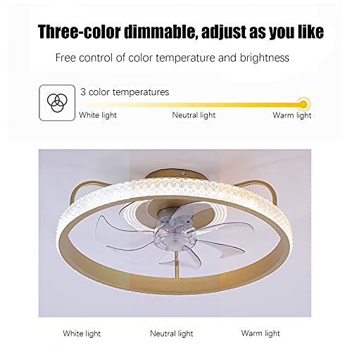Ventilateur de plafond télécommande et éclairage LED silencieux réglable - 5
