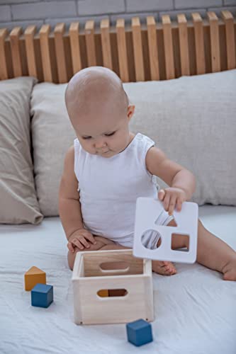 Image of PlanToys Shape & Sort It Out - Orchard Collection (5473)