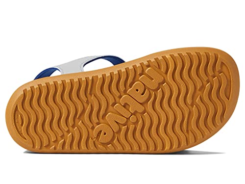 Native Shoes Kids Charley Breathable Sandal For Little Kids - Vegan, Hook & Loop Closure Contoured And Open-Toe Footwear - Pigeon Grey/Shell White/Toffee Brown 11 Little Kid M #TOP2