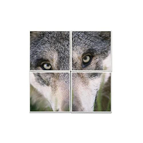 Carreaux Céramique Décoratif Loup 20x20 cm - Tableau Photo Nature Animal Sauvage