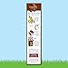 Annie's Organic Cocoa Bunnies Cereal, 10 oz (Pack of 10)