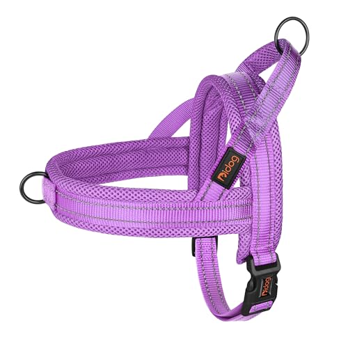 Image of No Pull Dog Harness for Small Dogs, Breathable Mesh Padded, Purple,XS | Quick Fit, Easy On and Off, Lightweight, Reflective Vest Harness for Night Safty, Easy for Walking and Training, Chest 15-18 inch
