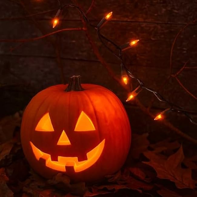 Novelty Lights 50 Feet 100 Bulbs Traditional Incandescent Mini Lights, Amber on Brown Wire with 6 Spacing, Commercial Grade and UL Listed for Indoor/Outdoor Use, End-to-End Connectable