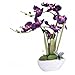 YSZL Large Artificial Potted Orchid Plant, Silk Flower Arrangement with Ceramics Vase, Dark Purple