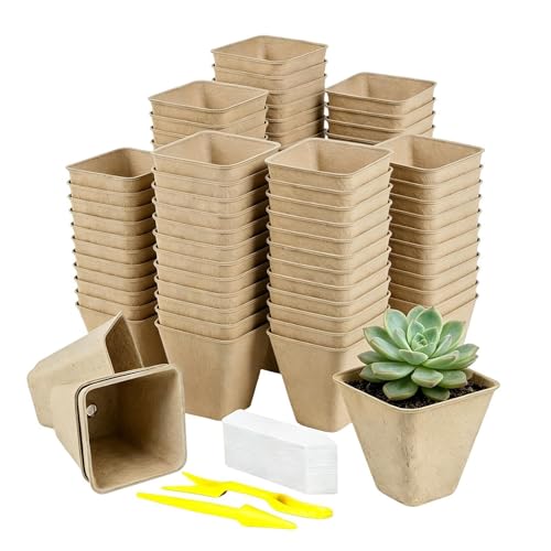 Generico Macetas de turba | 70 piezas de maceta cuadrada con orificio de drenaje | Contenedores para trasplante y siembra, para cultivo interior y exterior jardín, balcón, patio, invernadero