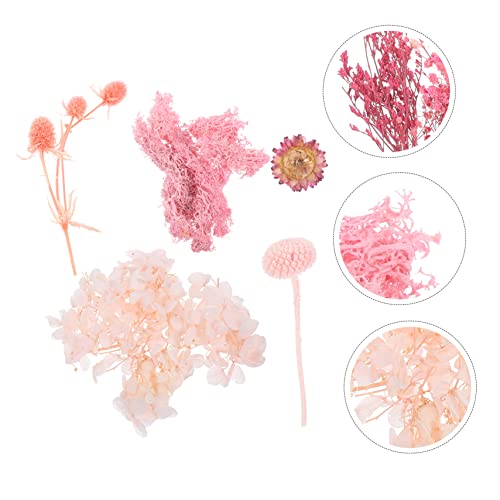 Set de flores secas naturales prensadas para manualidades miniatura 5