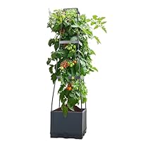 SERdeerCH Tomatentopf mit Rankhilfe (28×28×114 cm,14 L), selbstbewässernder Pflanzenturm in Anthrazit. Tomaten & Klettergemüse – platzsparendes Hochbeet für Innenräume