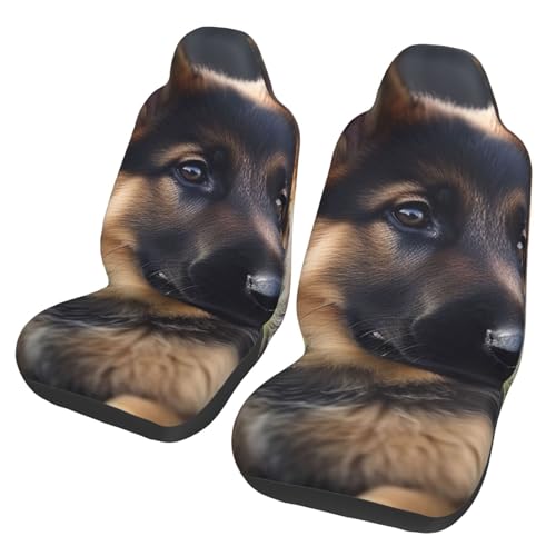 Housses de siège auto imperméables pour protéger des griffes de chien