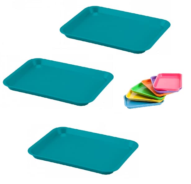 3 Pcs Dental Flat Tray Size B Autoclavable 250F Medical Procedure Instrument Set Up Flat Tray Size B - Teal